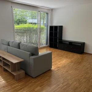Wohnzimmermöbel montiert von Carlos – Sofa, Regal und TV-Schrank in Zürich