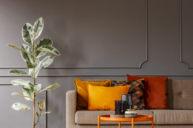 Modern Zurich living room with dark grey accent wall and orange cushions showing 2025 wall color trends.